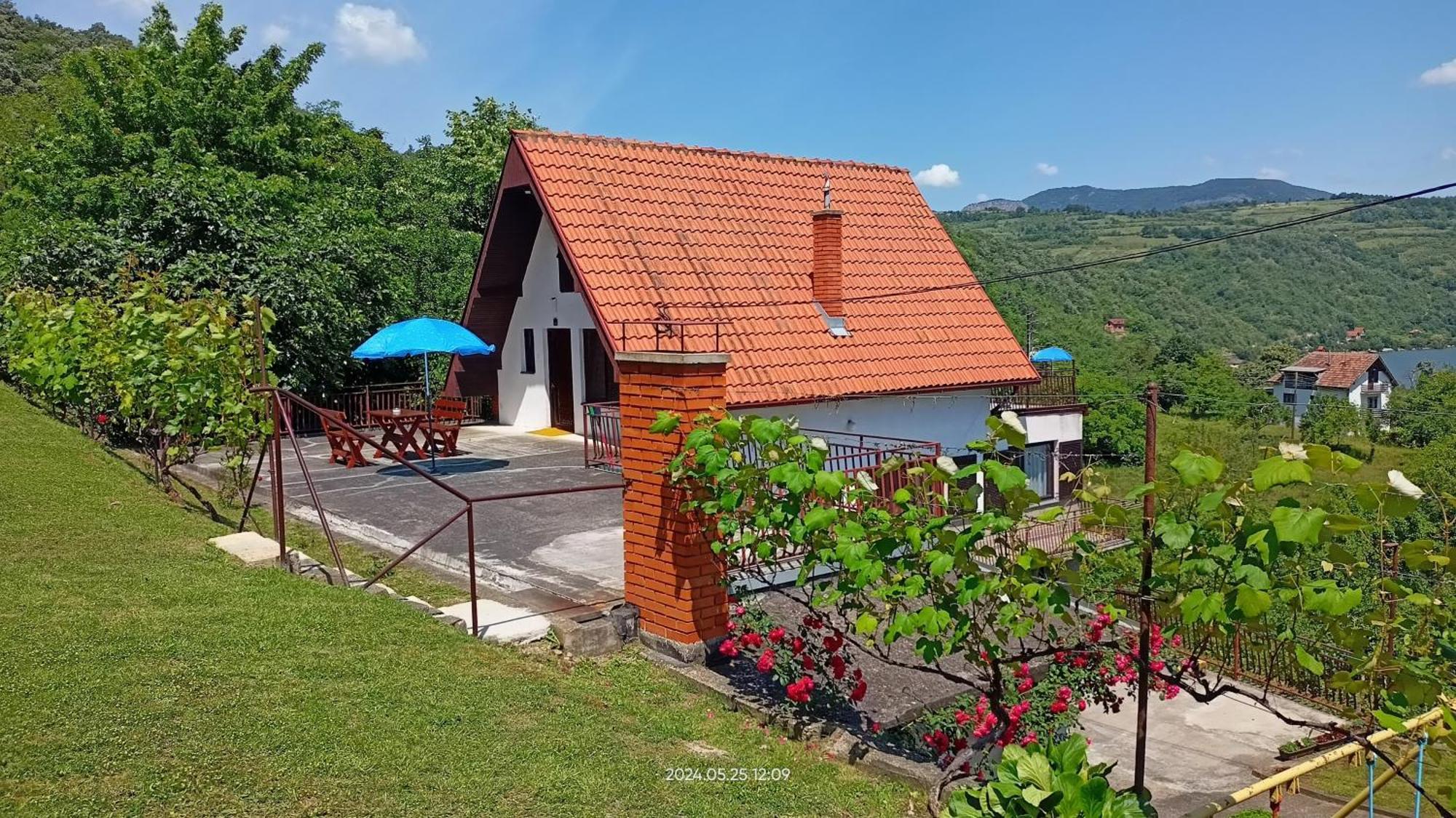 Apartman Duric Donji Milanovac Buitenkant foto